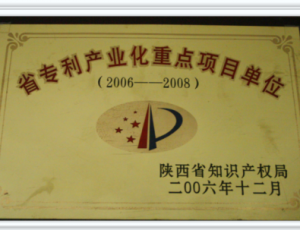 陕西省知识产权优势培育企业
