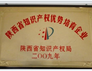 陕西省知识产权优势培育企业