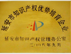 延安市知识产权优势培育企业